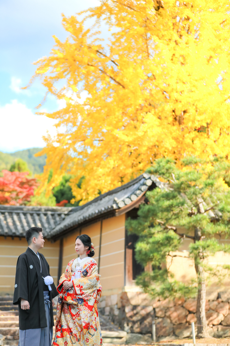 銀杏の木も大きくて迫力あります!!