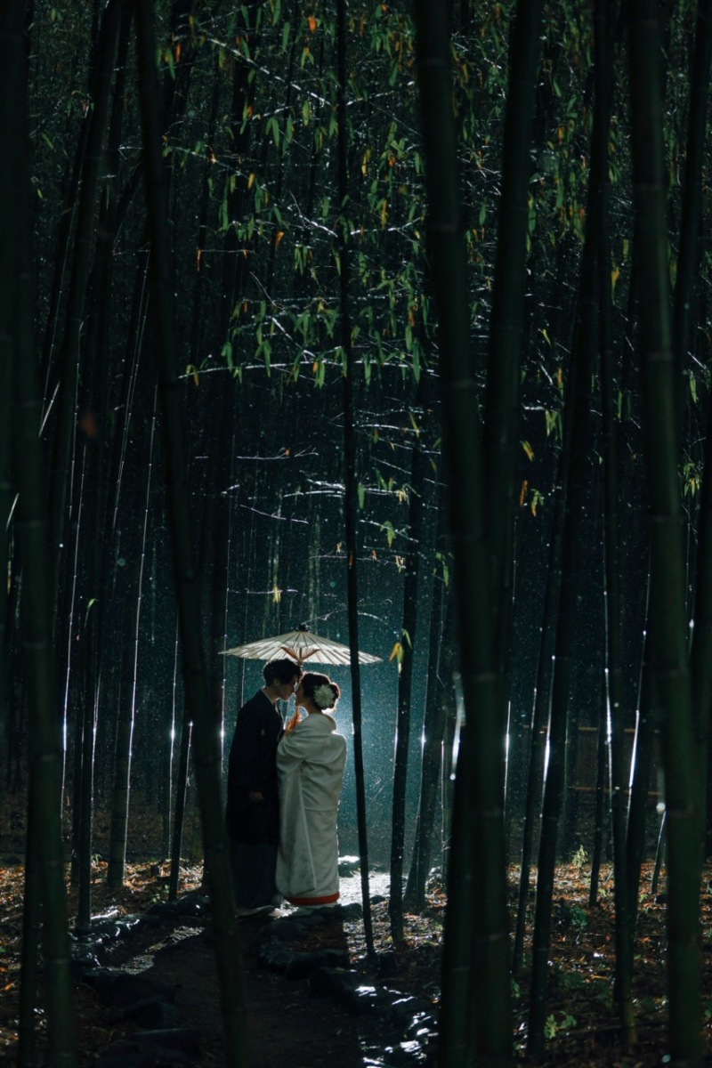 竹林を生かした縦のカットも