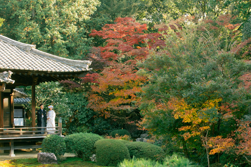 四季折々のワンシーン