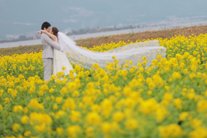 琵琶湖と菜の花と…