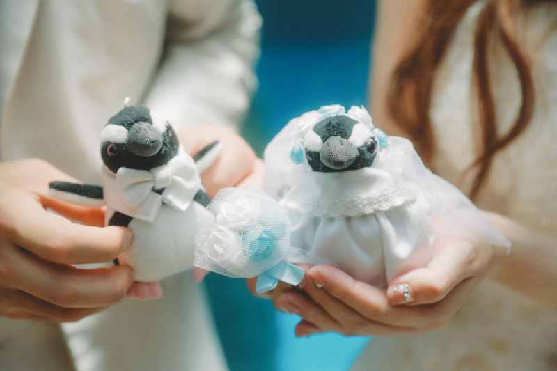 お二人が大好きなペンギンちゃんもおめかしして登場
