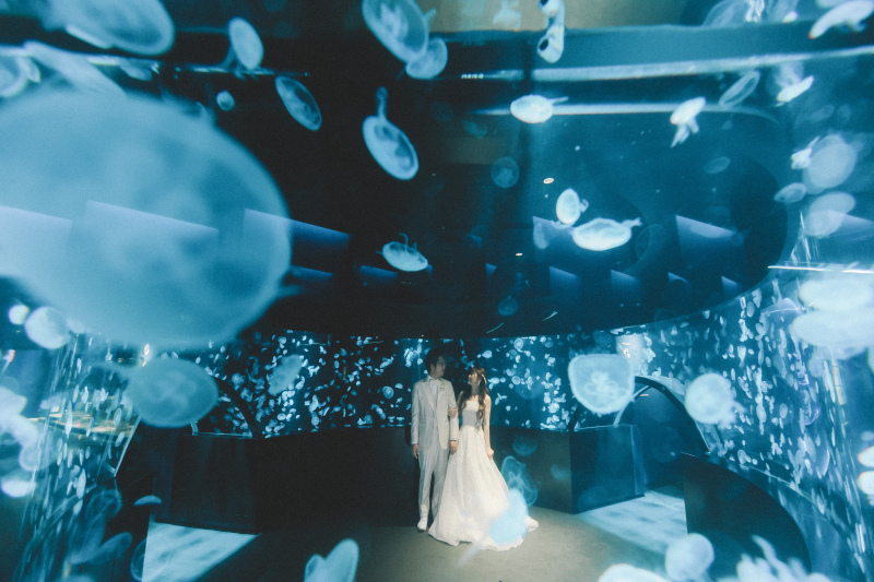 くらげに包まれた幻想的なカットからスタート