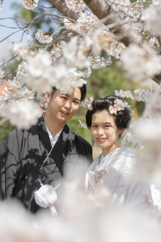 桜の大覚寺　日本髪スタイルで