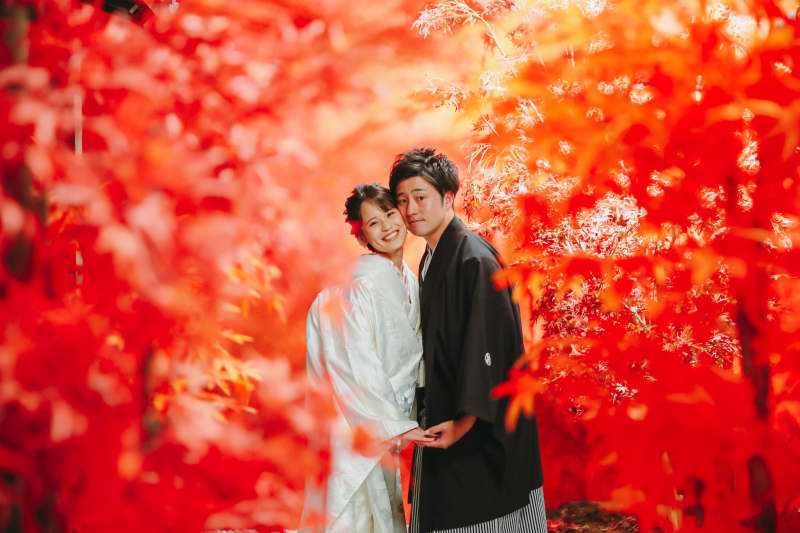 屋内庭園はもう照紅葉♪