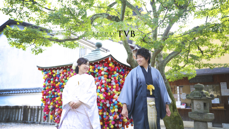 お天気だったので緑が綺麗でした。