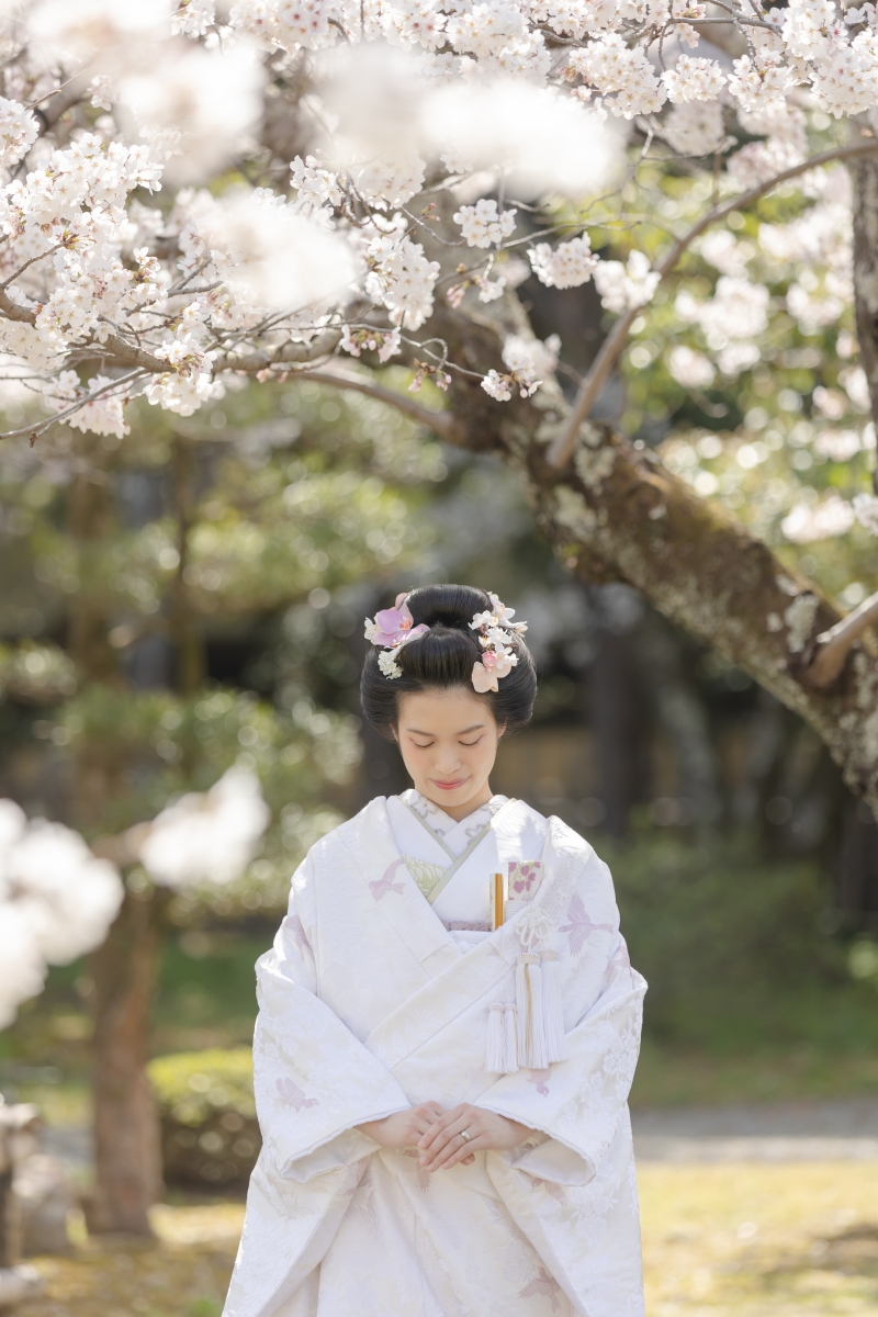 桜と日本髪