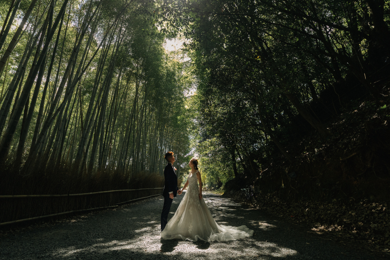 竹林の木漏れ日の中で。