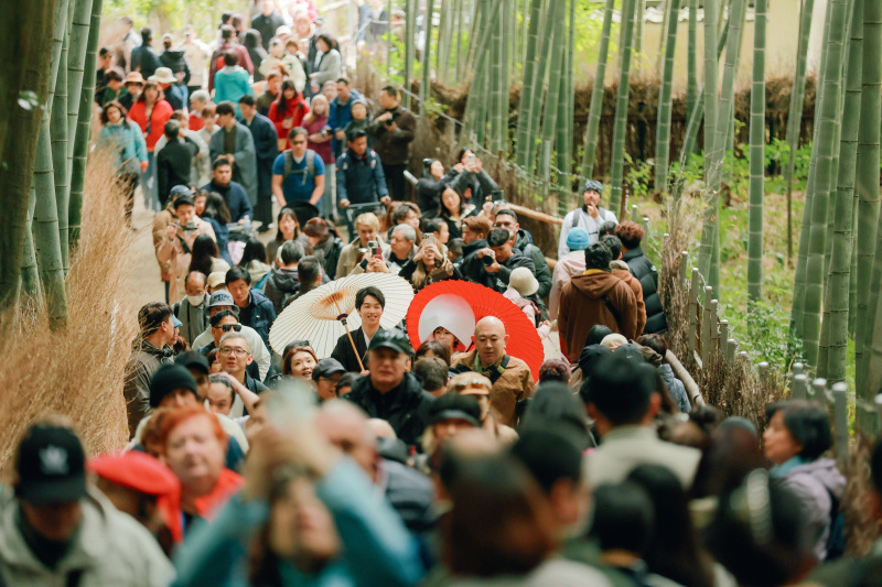 一番のピークの中で