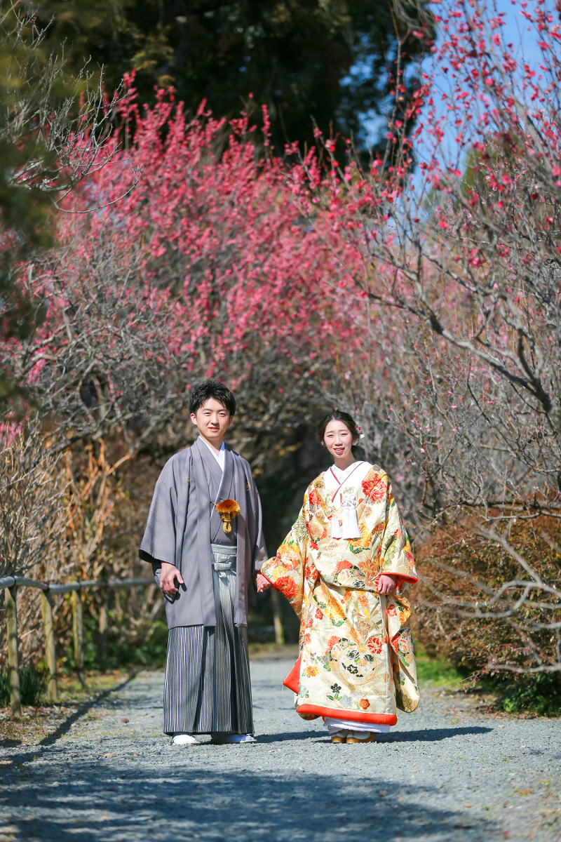 一足早く梅の美しい京都の梅宮大社で。