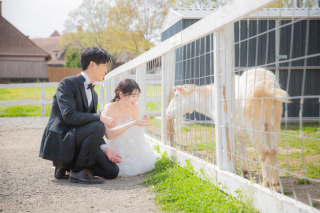 こころまでほぐれる牧場・花畑撮影♡