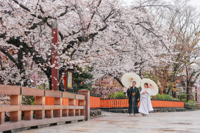 祇園の桜