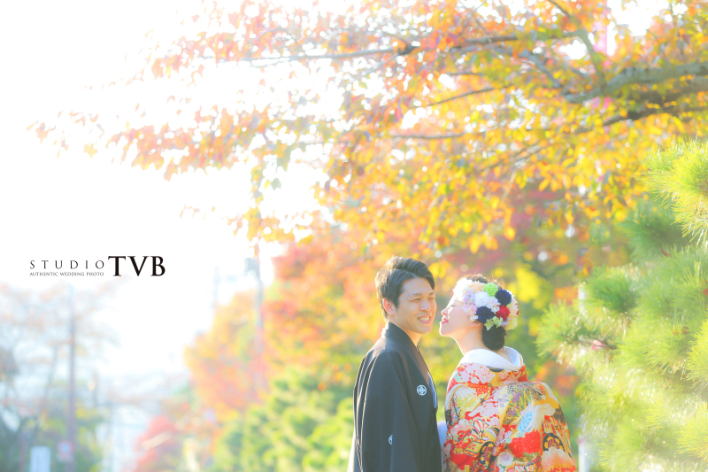 光がキラキラと