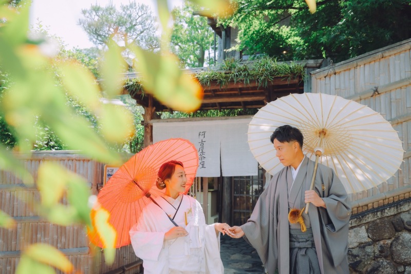 陽の光がさし、キラキラと光る緑が美しい1ショット