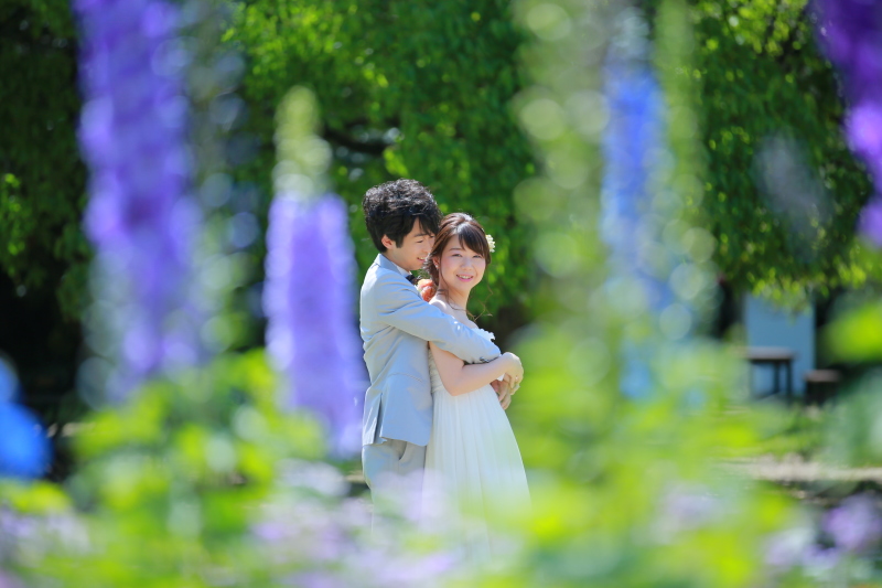 お花のグラデーション