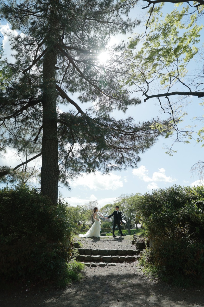 光が差し込んで・・・