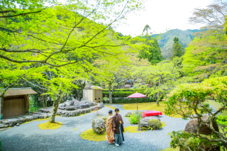 緑萌ゆる日本庭園