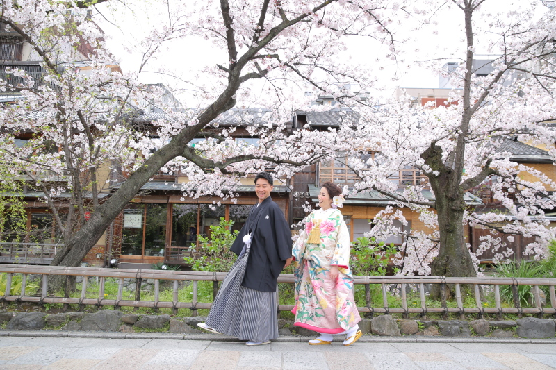 桜と緑と、お二人と