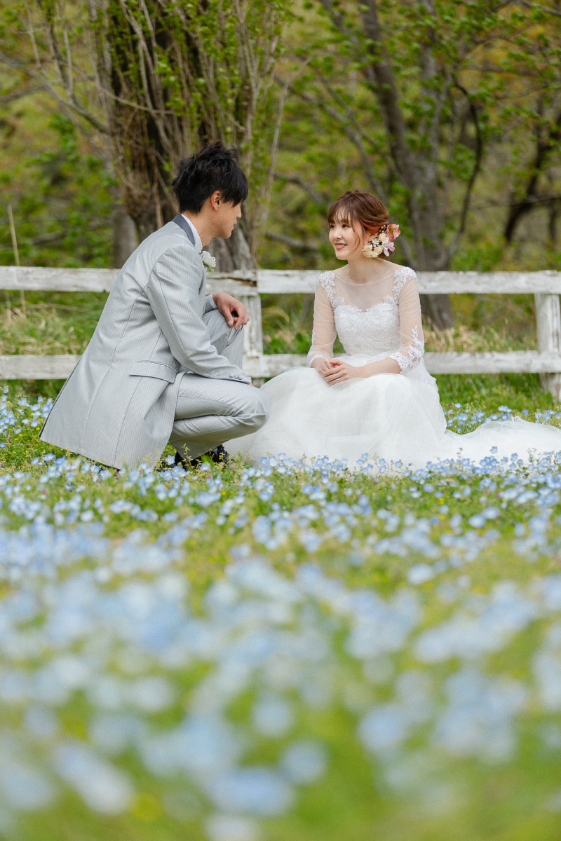 次はネモフィラと