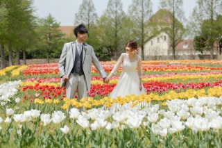 ブルーメの丘でお花撮影