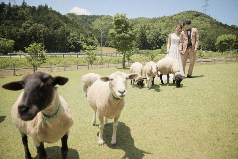 ハイ！チーズ！