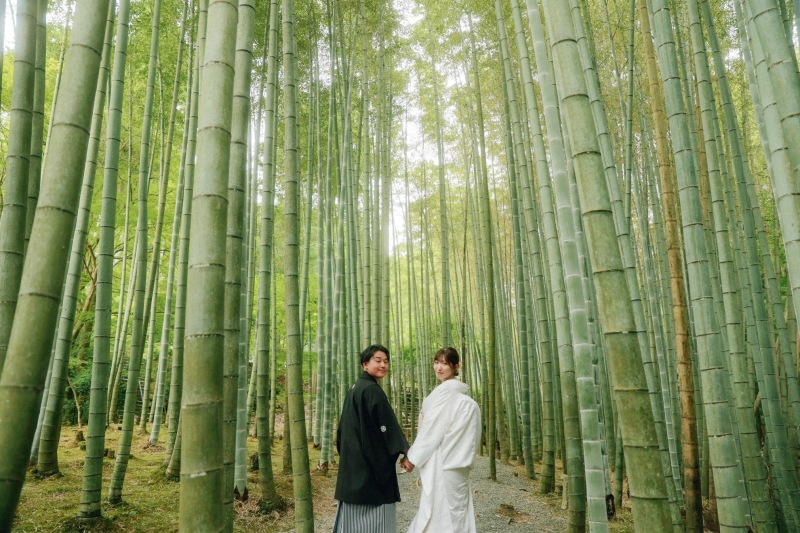 敷地内を移動して竹林へ