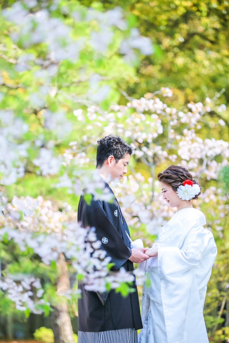 葉桜も綺麗ですね〜。