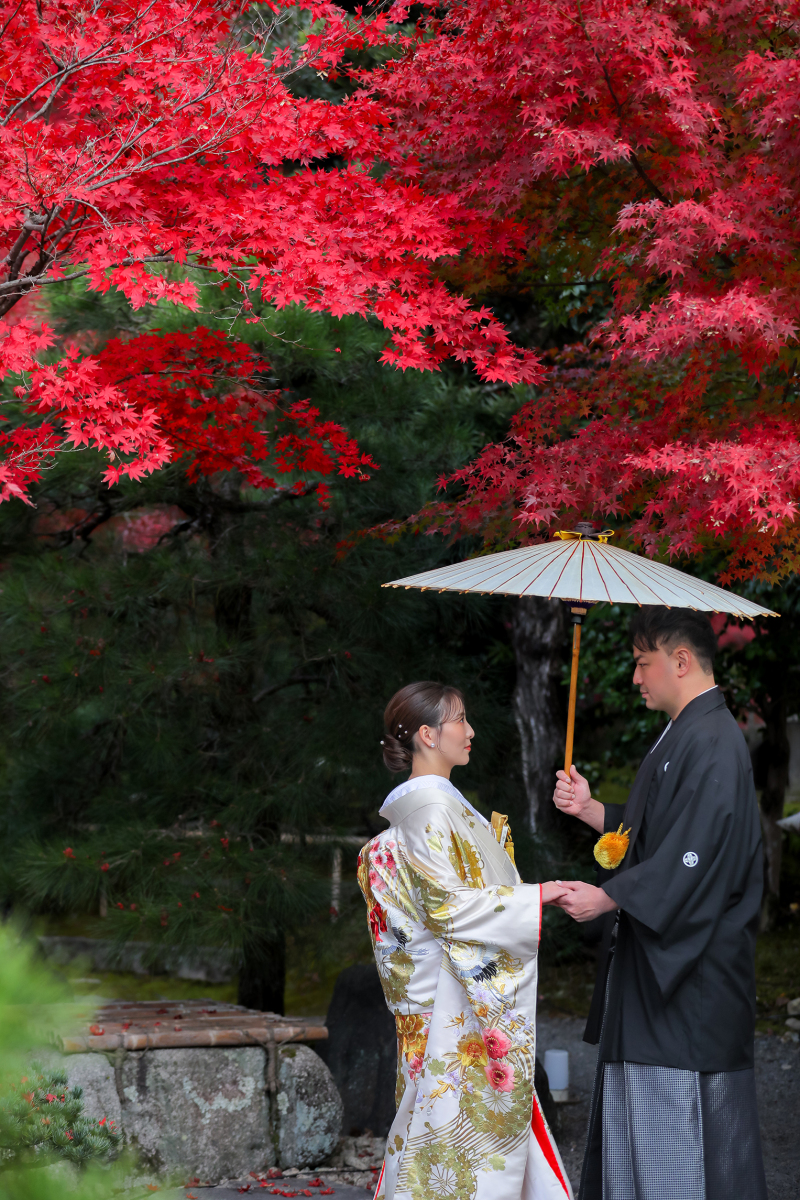 季節を先取り！紅葉の金戒光明寺へ