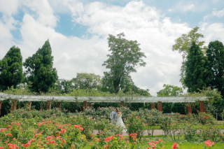 今、よく見かける〇〇・・・！？植物園で思い出フォトウエディング♪