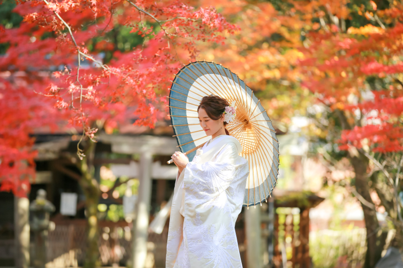 夕方前の優しい木漏れ日！