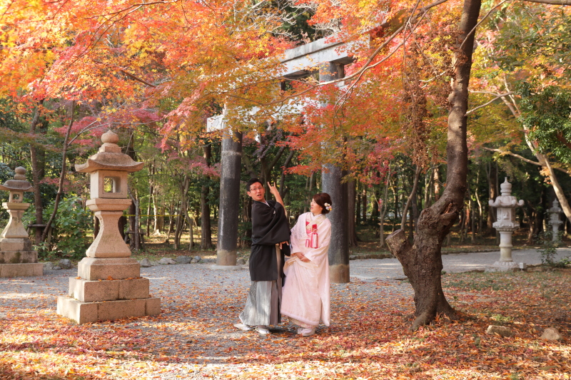 やっぱり・・・