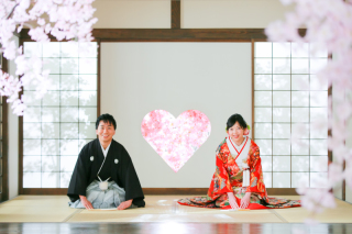 屋内庭園には『桜』が満開です。