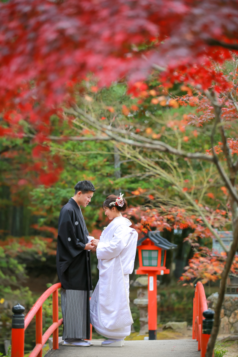 大原野神社様の人気撮影スポット♪