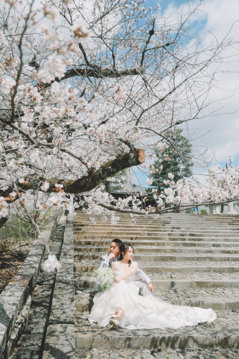 桜の季節にぴったりのショット