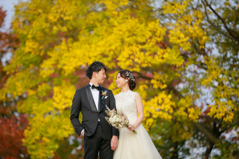 鴨川の桜の木々も色づいて。