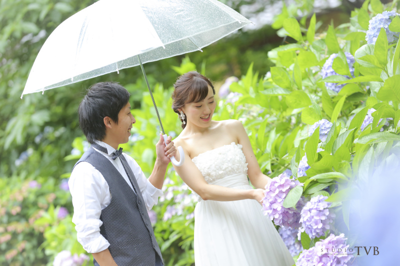 アジサイ発見！