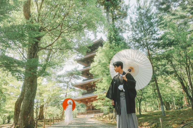 初夏の光と共に歩む