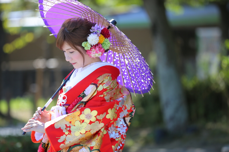 鮮やかなお着物