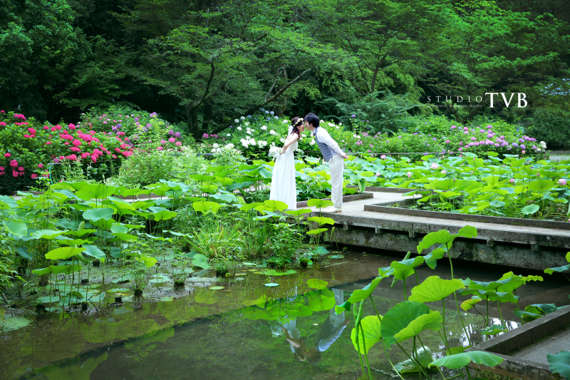 緑にかこまれて