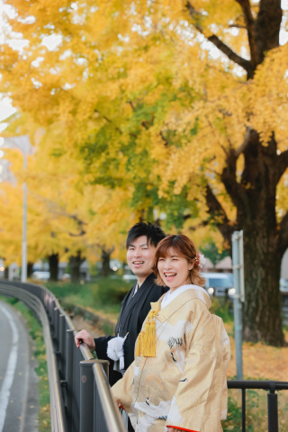 キラキラ金色銀杏の中で