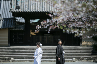 落ち着いた雰囲気を堪能♪春の随心院