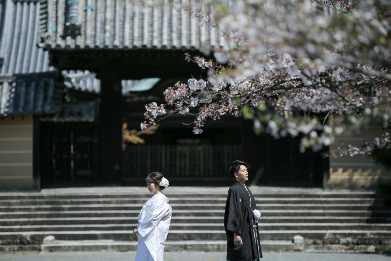 落ち着いた雰囲気を堪能♪春の随心院