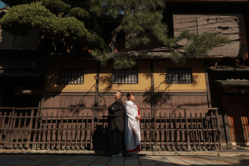 松の木の下で、、