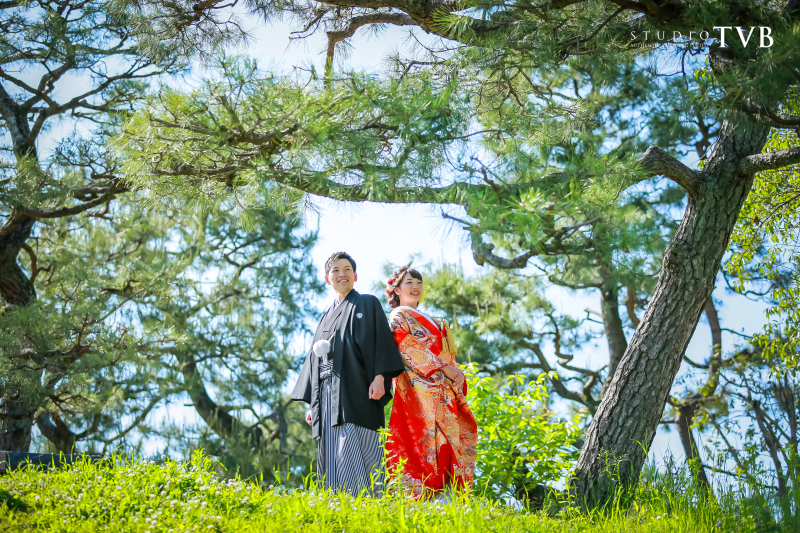 新緑も鮮やかに。