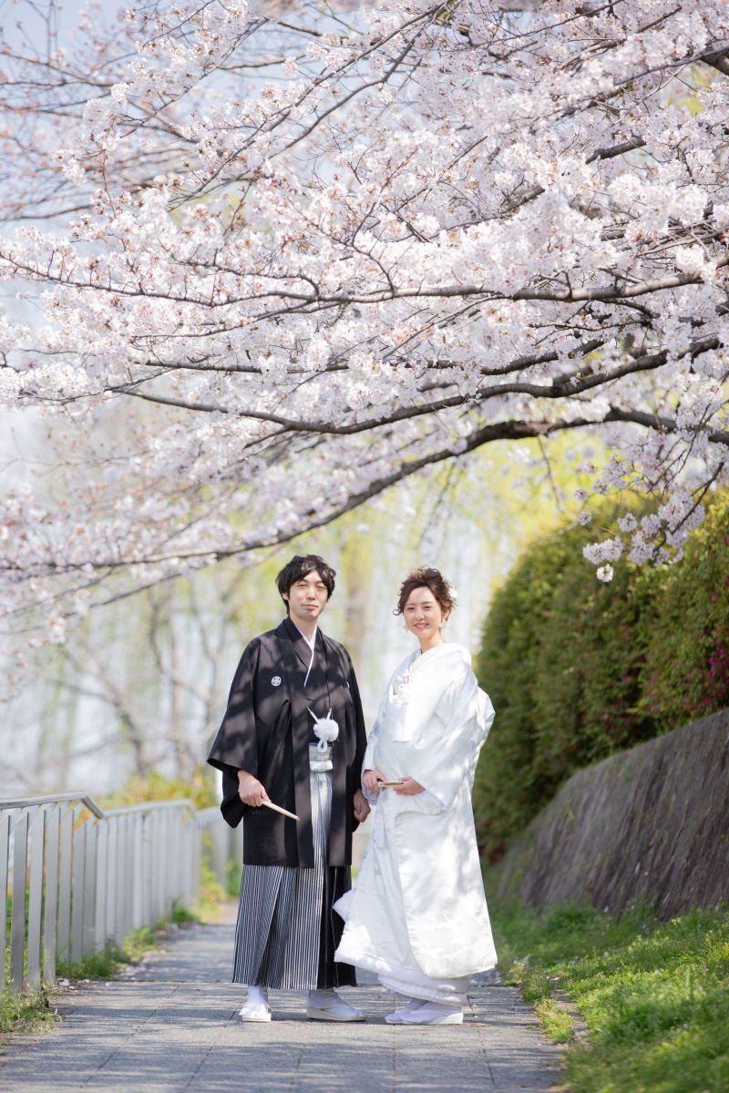 鴨川沿いは桜ロケの宝庫！