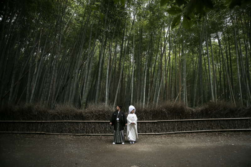 冬の竹林は青々と瑞々しいです!