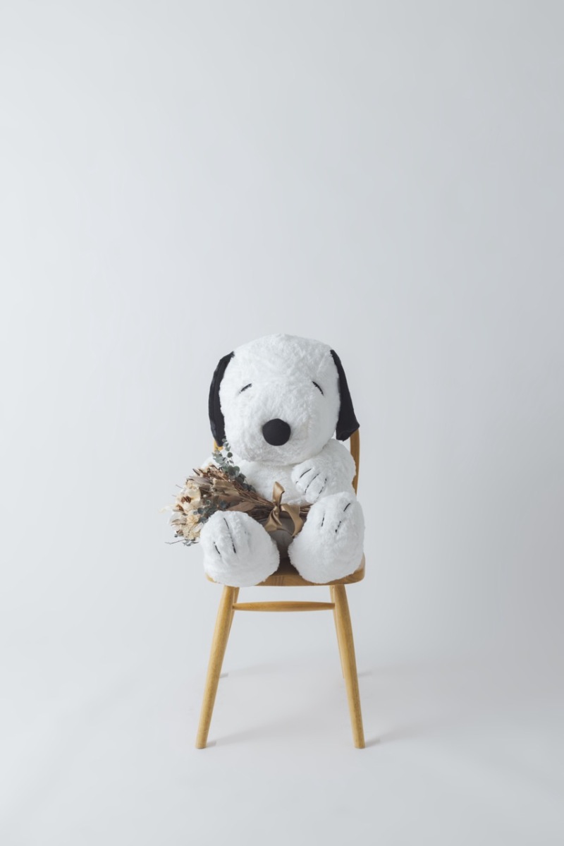 もちろん彼もソロでの撮影♪