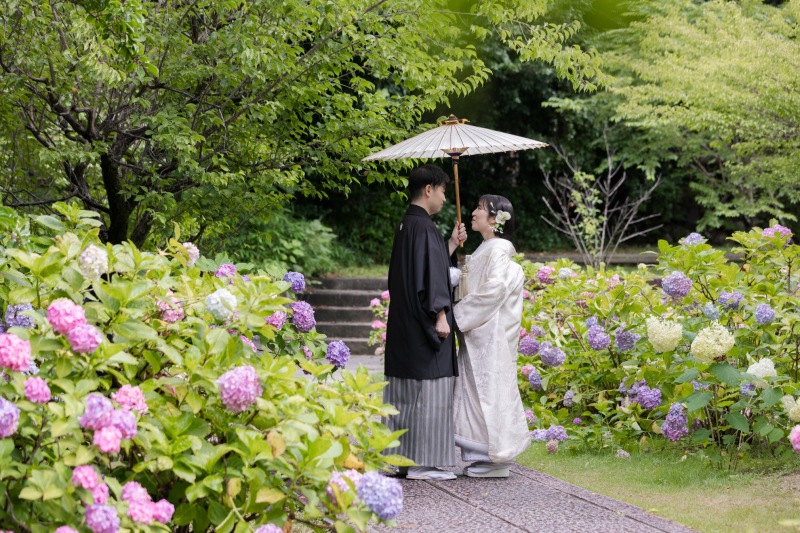 紫陽花に囲まれて