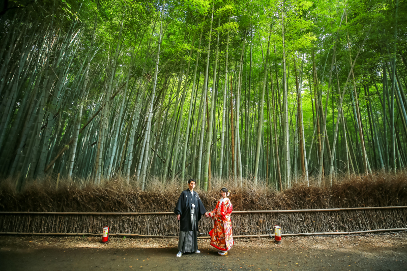 緑の鮮やかな竹林で。