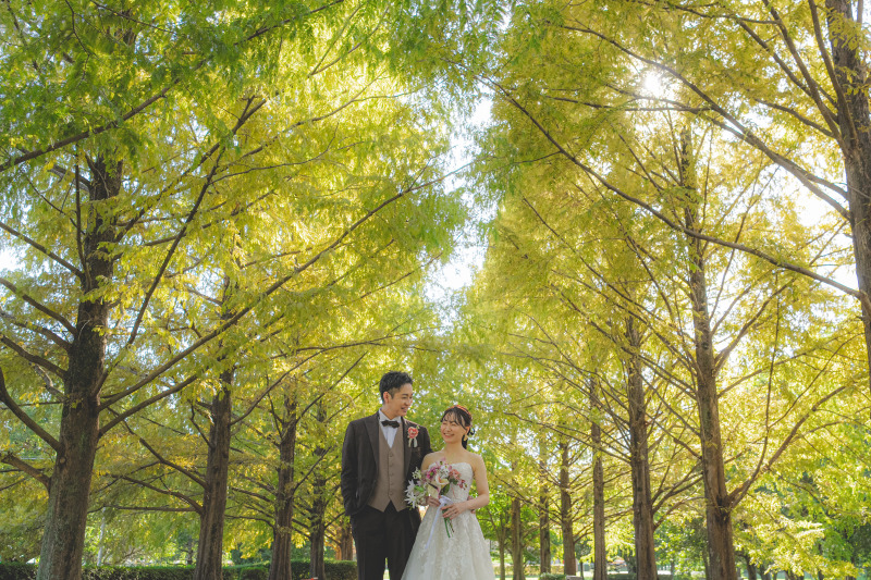 メタセコイア並木