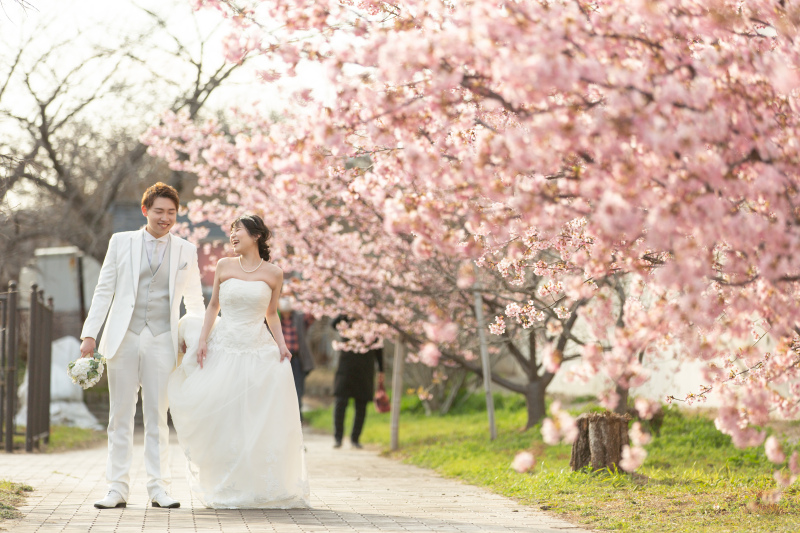 桜並木の中を…